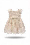 Baby Girl Ivory Lace Ruffle Dress